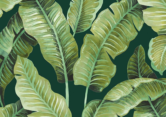 Nicobar, Viridian - Motorised Roman Blind - Image 7